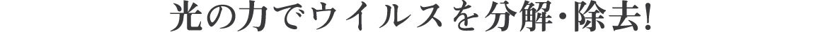 光の力でウイルスを分解・除去!